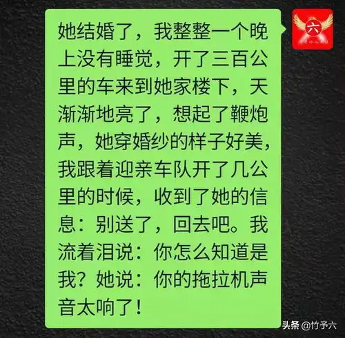 舔狗日记你们根本不懂我们舔狗的快乐
