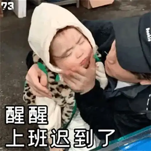 表情包醒醒,上班迟到了