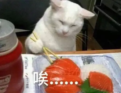 痘痘的qa丨吃避孕药,一定可以治好痘痘吗