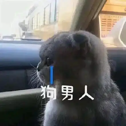 我的两位私教老湿你们是魔鬼吗