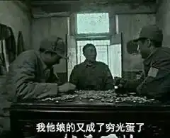 自用表情包十二丨猪圈空荡荡,而你在人间