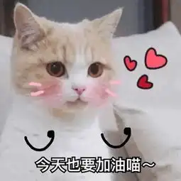 表情包等我抠完鼻子再说也不迟呀爱你哟