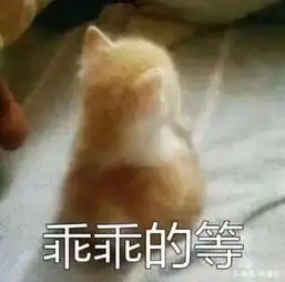 放假前的人们都在干什么,新疆人是真的忙