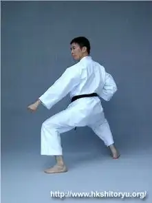 蹲马步怎样的姿势才是标准的