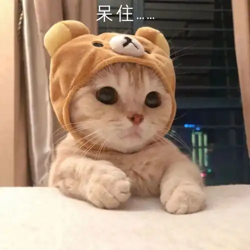 幽默搞笑表情包你知道我喜欢的是谁吗不知道的请看第一个字
