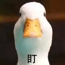 周末12起刺伤案温尼伯砖家考虑一下取消警察