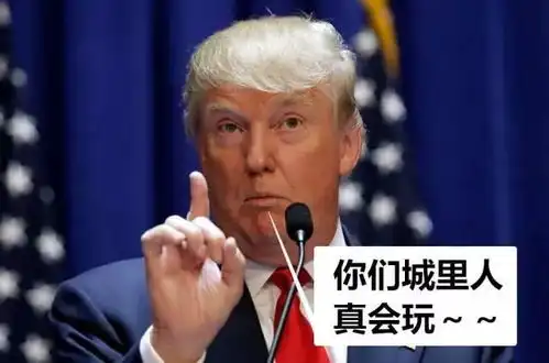 2016美国总统竞选人川普和希拉里表情包对决,太逗了