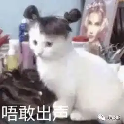 你的网速能跟得上世界的速度吗