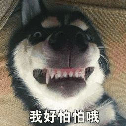 大b神我比游戏厂商牛逼100倍,腾讯应该找我当策划