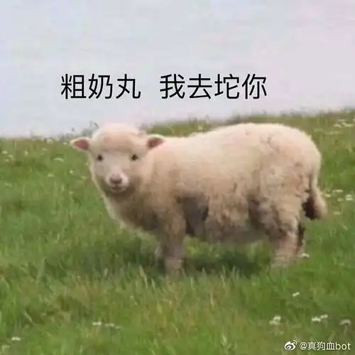 热爱生活虽然可能用不上但还是马一发