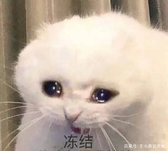 90后任性赤裸裸辞职不可能,我还有花要还