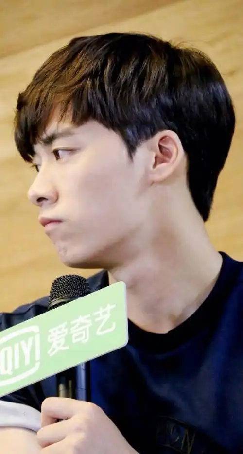 中国最帅的男明星是谁