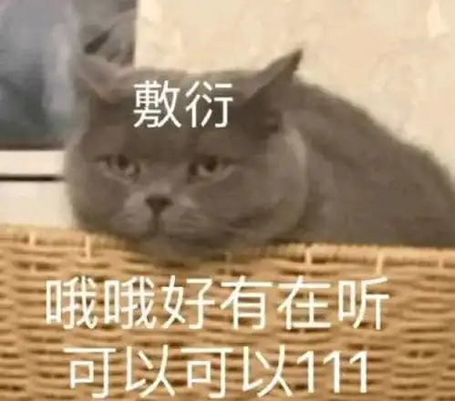 哔哩哔哩专栏
