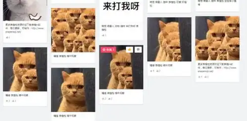 橘猫表情包这只猫各种各样的表情
