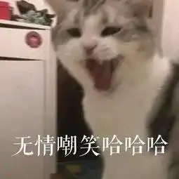 周六你能来加班可以,不过周末堵车晚点大概啥时候到呢周一