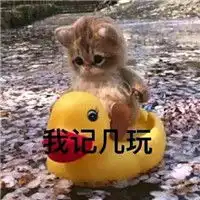 可爱的萌宠系列表情包搞笑长得可爱就是麻烦