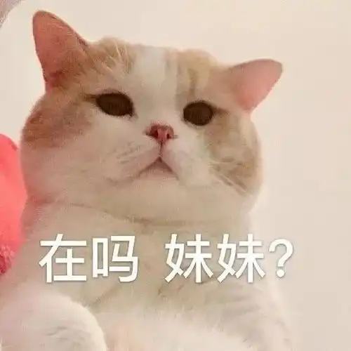 微信沙雕聊天表情包这座城又多了个伤心的人