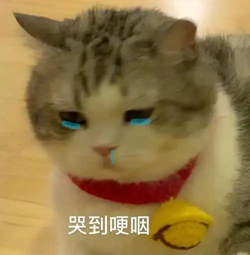 喵星人可爱搞怪表情包系列