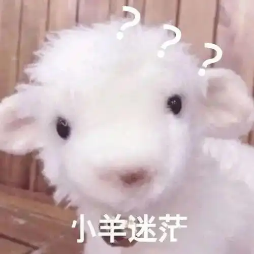 订立电子劳动合同,信息安全要保护好