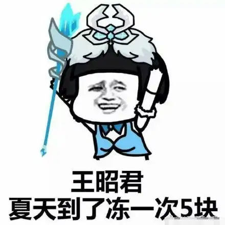 王者荣耀暴漫表情包王昭君夏天到了冻一次5块