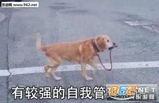 有较强的自我管理意识表情包图片这是我今天的自拍表情包图片下载乐游网游戏下载