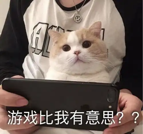 有讨论射手座的群吗,想加入下
