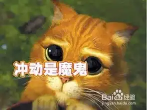 孩子被欺负了该怎么办
