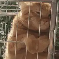好玩的斗图表情包
