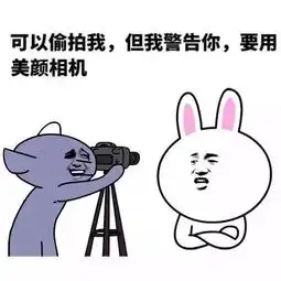 表情包斗图大赛