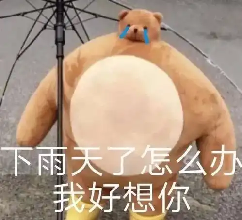 表情包快上车没时间解释了