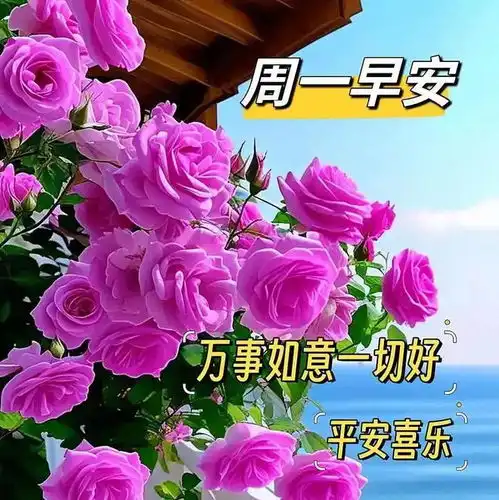 5月13日最新漂亮的早上好图片祝福