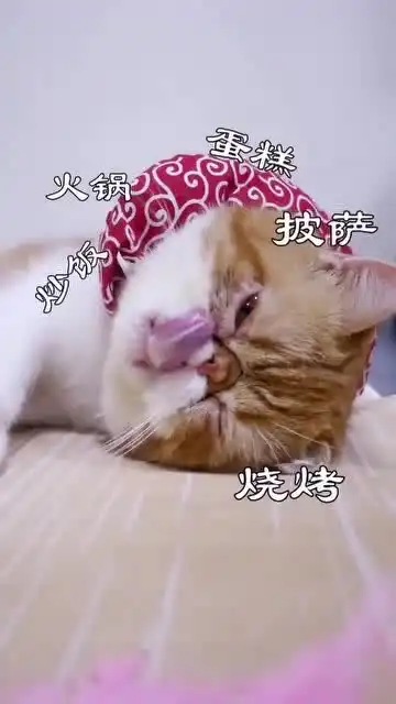 朋克式养生,好多名人都羡慕我这种养生方式
