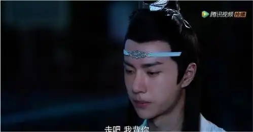 陈情令22追踪剑灵真相,故地重游,蓝湛月下背魏婴