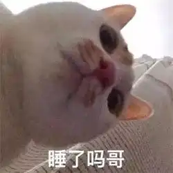 有什么让别人秒回的表情包