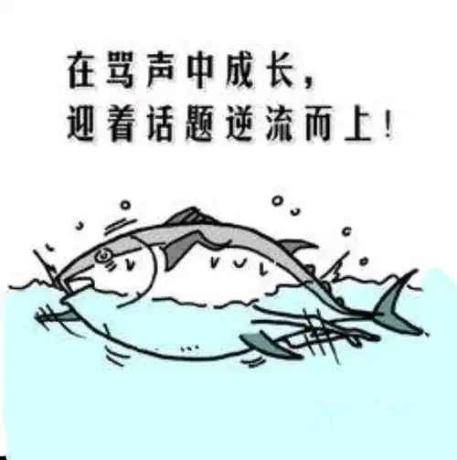 思小龙的书单咸鱼翻身的正确姿势