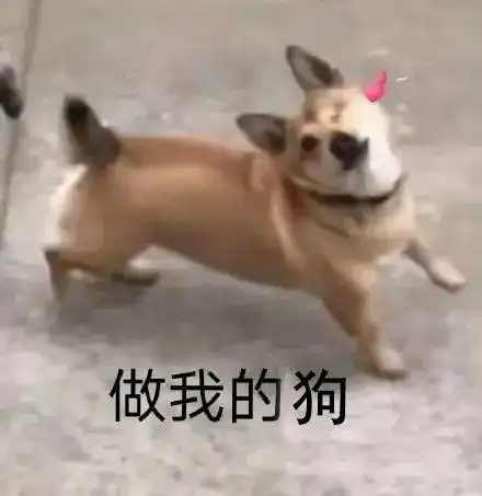 聊天必备表情包i哦哟有戏看咯