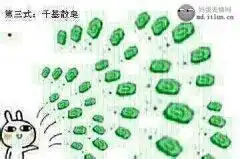 表情与斗图71基佬肥皂表情包