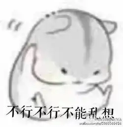 小仓鼠的爱老婆表情包