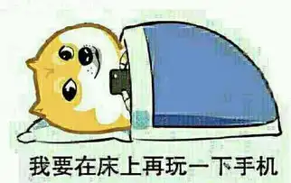 50块钱用15天微信支付宝各种卡统统不可以用他们做到了,还赚了好多