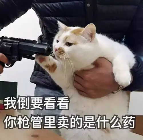 还在穿白衬衫她们穿条纹衫好看到爆