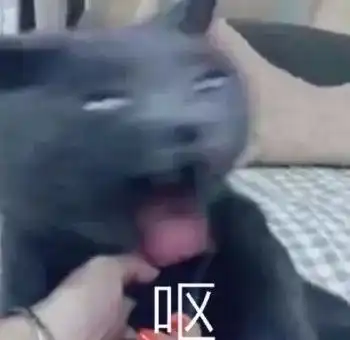 关于头皮脂肪粒的二三事