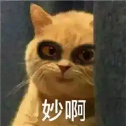 别人的21岁vs你的21岁