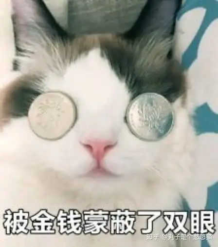 2021年11月高性价比猫粮推荐,猫粮什么牌子好,平价猫粮推荐,猫粮排行榜,进口猫粮推荐,国产猫粮推荐