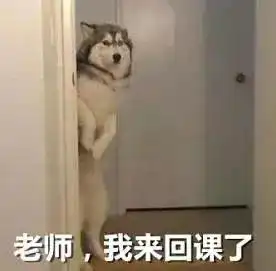 音乐生必备表情包,哈哈哈哈哈哈哈哈哈