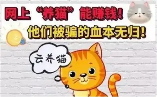 大连华讯吸猫经济推动下,云养猫app暗藏各种诈骗套路