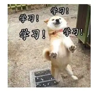 b站有哪些英语学习up主值得推荐