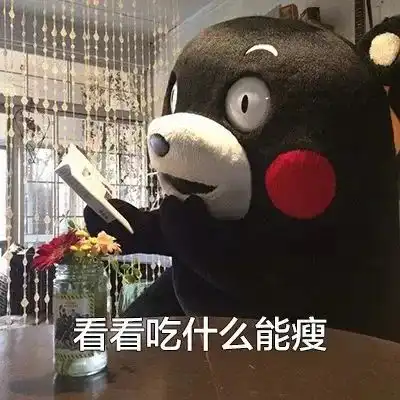 看世界这些人气小熊,也许就在你家哦