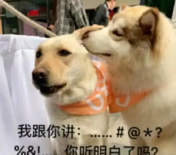 污力十足的撩人表情包,比我想你强一百倍,每一张都很撩