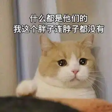 沙雕搞笑表情包i俺是你的犬系男友