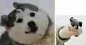 求这个的高清原图
